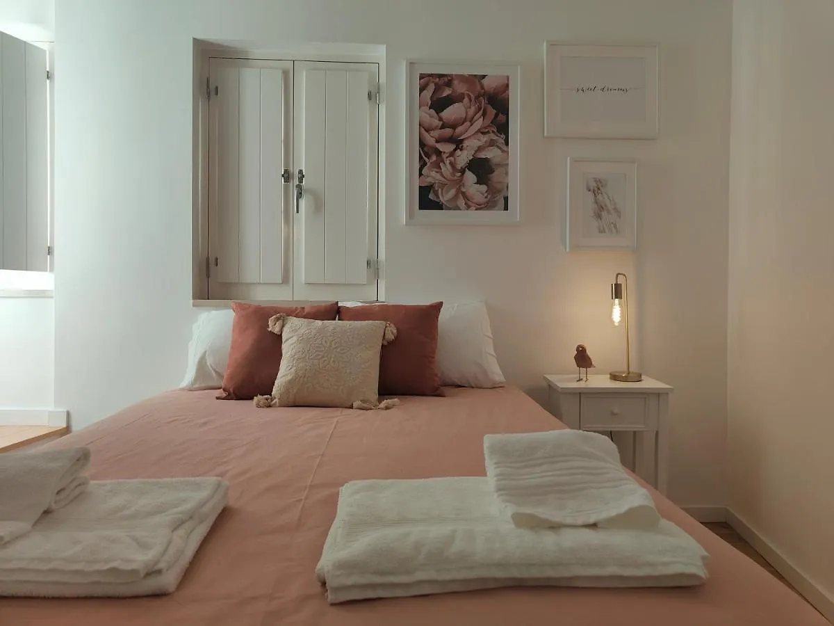 Rose Essence Aparment - Exceptional Balcony Apartment Coimbra